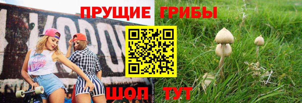 Галлюциногенные грибы GOLDEN TEACHER Серов